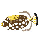 Balistoides,conspicillum,fish