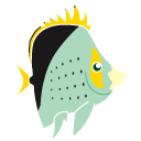 Chaetodon,tinkeri,fish
