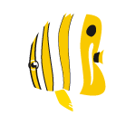 Chelmon,rostratus,fish