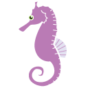 Hippocampus,kuda,fish
