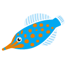 Oxymonacanthus,longirostris,fish