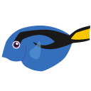 Paracanthurus,hepatus,fish