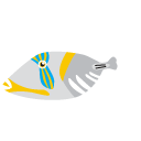 Rhinecantus,aculeatus,fish