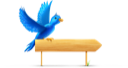 bird,sign,twitter