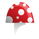 Fungus,mushroom