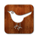 bird,square,twitter
