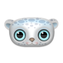 animal,leopard,snow