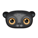 animal,black,leopard