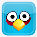 blue,bird