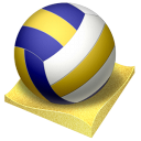beach,volley