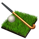 field,hockey