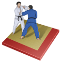 judo