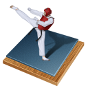 taekwondo