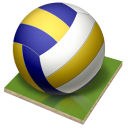volleyball