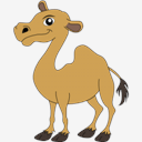camel
