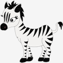 zebra