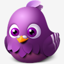 pidgin