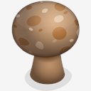 mushroom