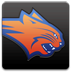 nba,charlotte,bobcats
