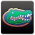 ncaa,florida,gators