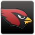 nfl,arizona,cardinals