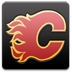nhl,calgary,flames