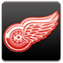 nhl,detroit,red,wings