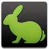 rabbit,bunny