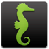 seahorse