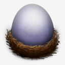 egg