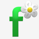 facebook,flower