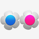 flickr,flower