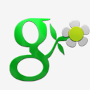 google,plus,flower