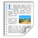 document,file,text