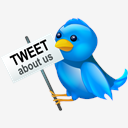 About,twitter,bird