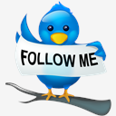 Follow,me,twitter,bird