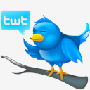 Tweet,twitter,bird