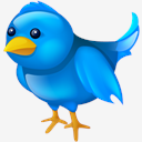 Twitter,twitter,bird