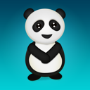 animal,bear,panda