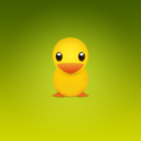 animal,duck,twitter