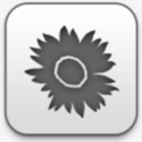 illustrator