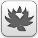 quarkxpress