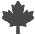 mapleleaf