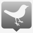 Social,Media,Tweet,Deck