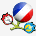 Euro,2012,France