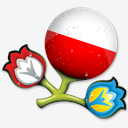 Euro,2012,Poland