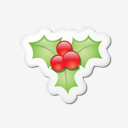 Mistletoe,Berry