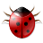 Bug