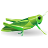 Grasshopper