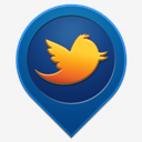 twitter,pin